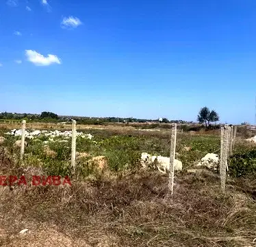 Photo 2 — Plot in Varna, Priboi
