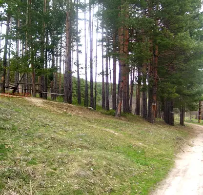 Photo 2 — Plot in Oblast Pazardjik, Велин