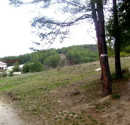 Photo 3 — Plot in Oblast Pazardjik, Велин