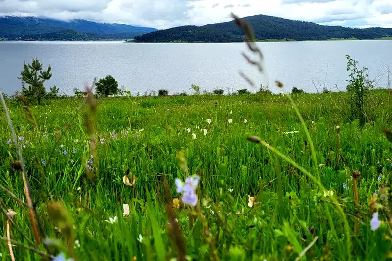 Парцел в Пазарджик, яз. Батак