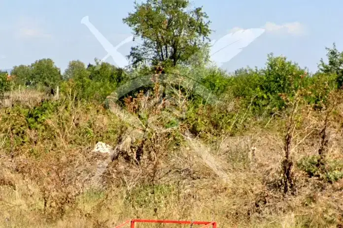 Agricultural Land in Oblast Burgas, Pomorie