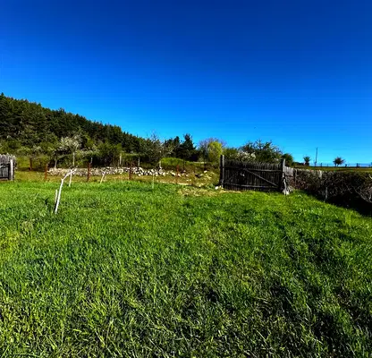 Photo 5 — Agricultural Land in Oblast Blagoevgrad, Bachevo