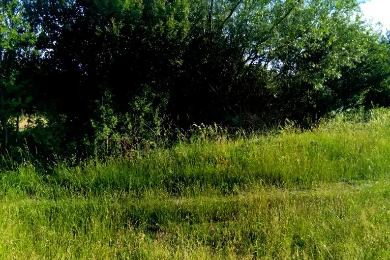 Arable Land in Kyustendil, Balanovo