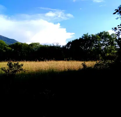 Photo 2 — Arable Land in Kyustendil, Balanovo