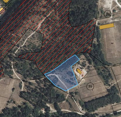 Photo 2 — Agricultural Land in Oblast Blagoevgrad, Banya