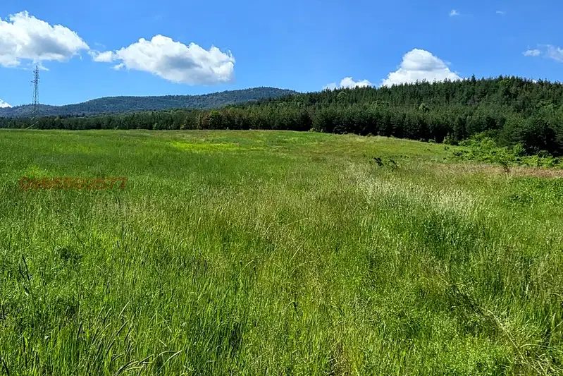 Agricultural Land in област София, Belchin