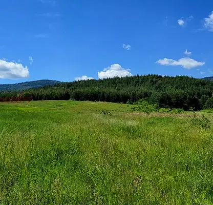 Photo 2 — Agricultural Land in област София, Belchin