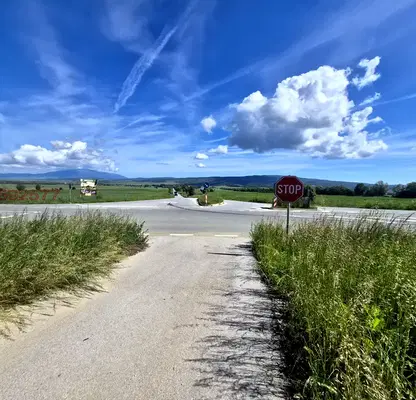 Photo 3 — Agricultural Land in област София, Belchin