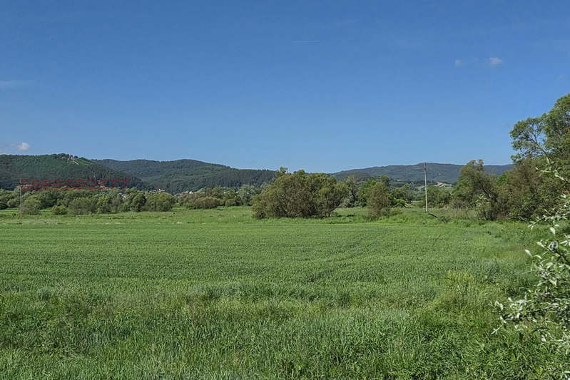 Meadow in Sofia, Belchinski Bani
