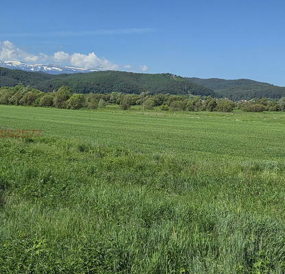 Photo 2 — Meadow in Sofia, Belchinski Bani