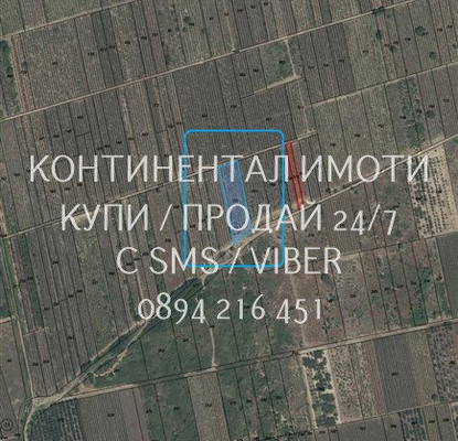 Photo 2 — Agricultural Land in Oblast Plovdiv, Brestovica