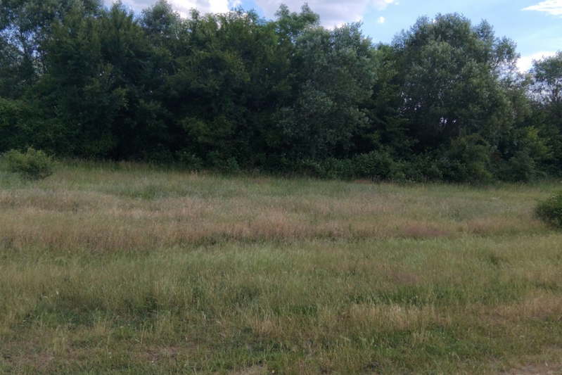 Agricultural Land in Oblast Kyustendil, Cherven Breg