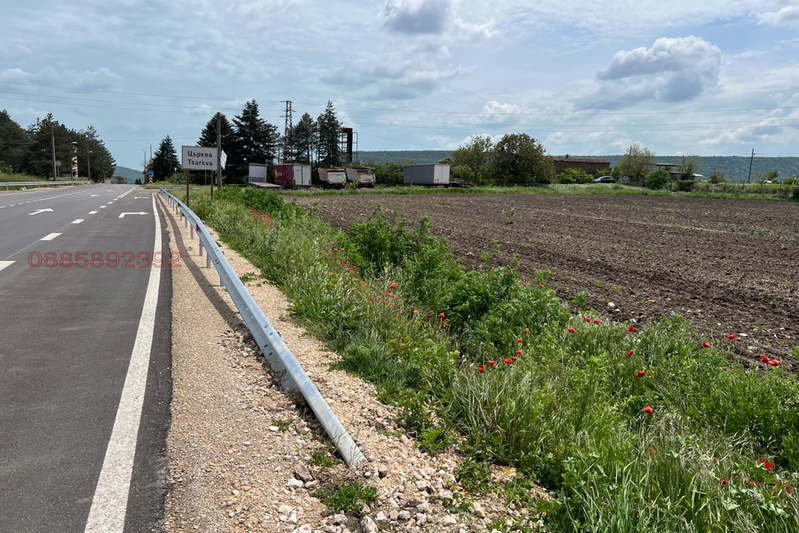 Agricultural Land in Oblast Dobrich, Cyrkva