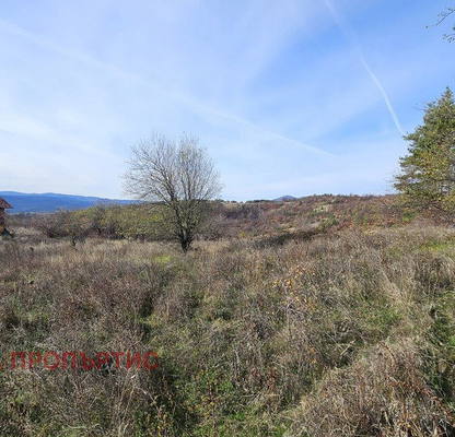 Photo 2 — Agricultural Land in област София, Gorna Vasilica