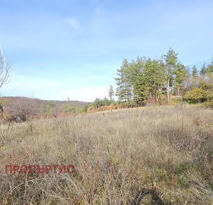 Photo 3 — Agricultural Land in област София, Gorna Vasilica