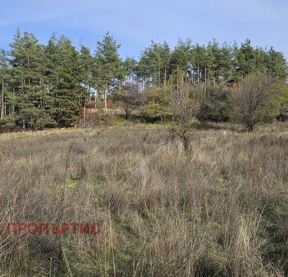 Photo 4 — Agricultural Land in област София, Gorna Vasilica