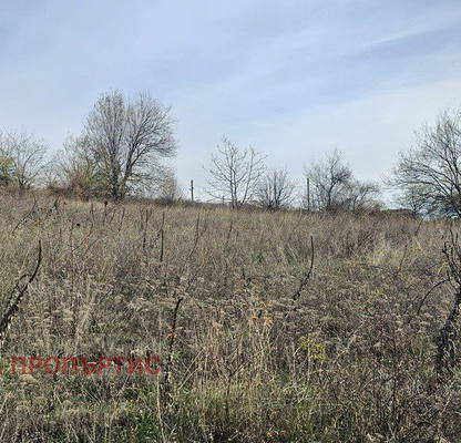 Photo 5 — Agricultural Land in област София, Gorna Vasilica