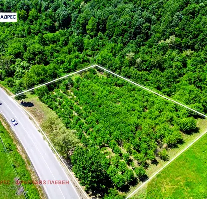 Photo 2 — Agricultural Land in Oblast Lovech, Kaleica