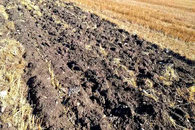Земеделски имот в Силистра, с. Каменци
