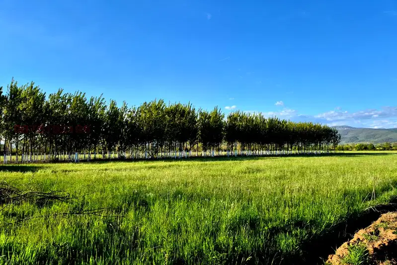 Agricultural Land in Oblast Blagoevgrad, с. Копривлен