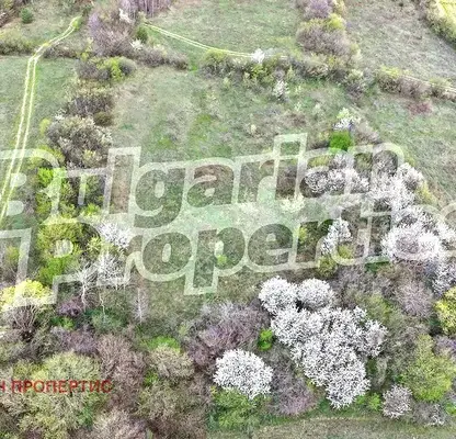 Photo 4 — Agricultural Land in област София, Kostenec