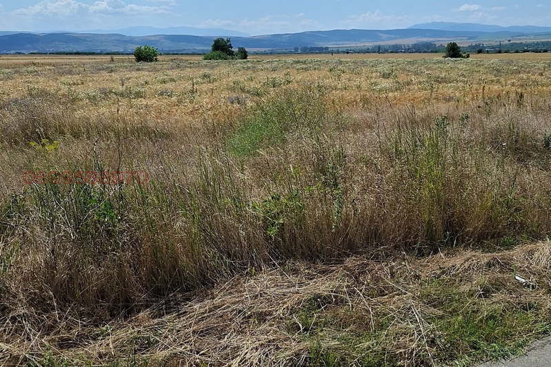 Agricultural Land in Oblast Kyustendil, Krainici