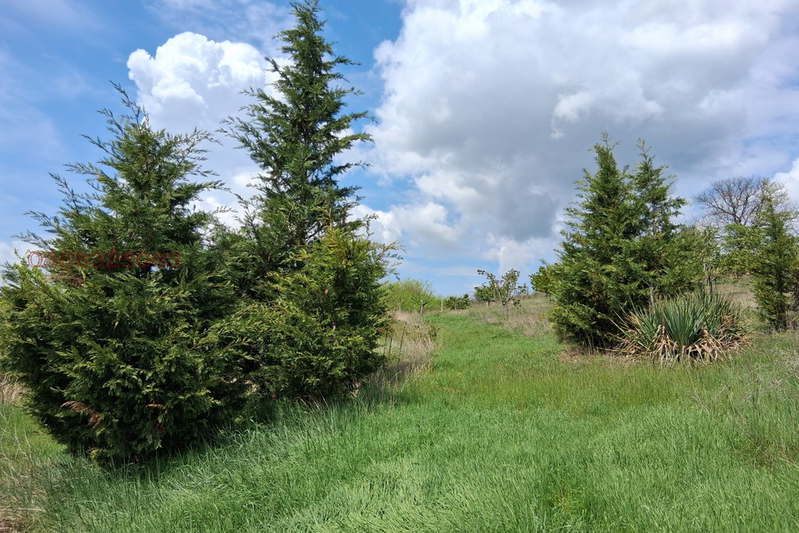 Agricultural Land in Oblast Kyustendil, Krainici