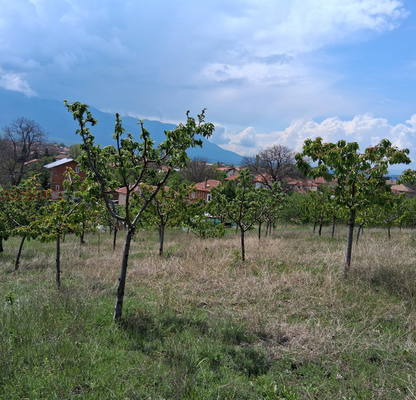 Photo 2 — Agricultural Land in Oblast Kyustendil, Krainici