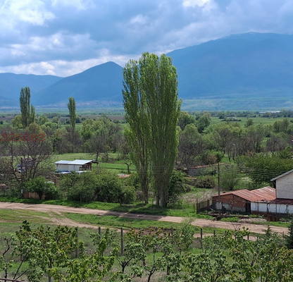 Photo 4 — Agricultural Land in Oblast Kyustendil, Krainici
