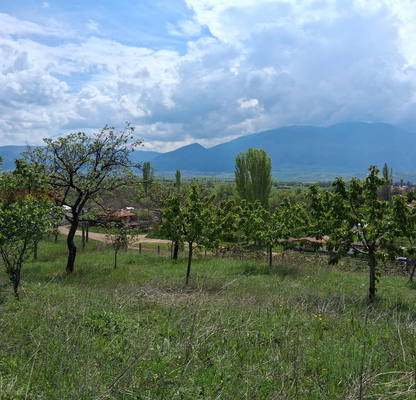 Photo 5 — Agricultural Land in Oblast Kyustendil, Krainici