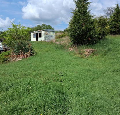 Photo 4 — Agricultural Land in Oblast Kyustendil, Krainici