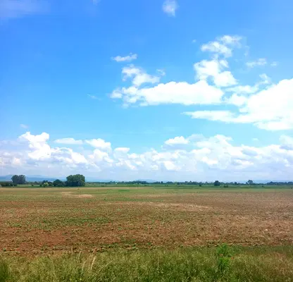 Photo 2 — Agricultural Land in област София, Krivina