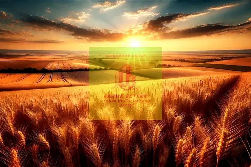 Agricultural Land in Oblast Dobrich, Medovo