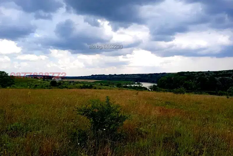 Meadow in Varna, Nikolaevka