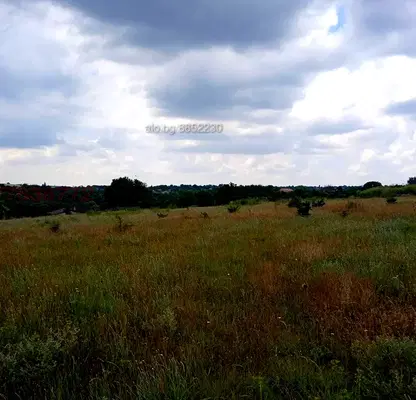 Photo 3 — Meadow in Varna, Nikolaevka