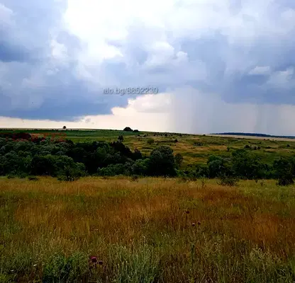 Photo 4 — Meadow in Varna, Nikolaevka