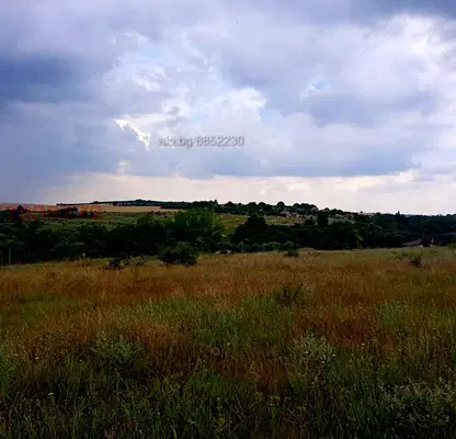 Photo 5 — Meadow in Varna, Nikolaevka