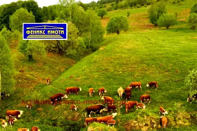 Agricultural Land in Oblast Kyustendil, с. Пелатиково