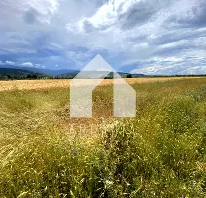 Photo 2 — Agricultural Land in Oblast Plovdiv, Pyrvenec