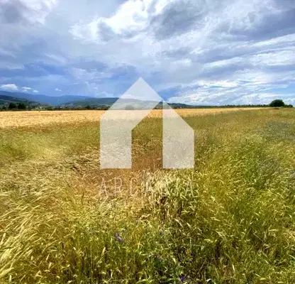 Photo 3 — Agricultural Land in Oblast Plovdiv, Pyrvenec