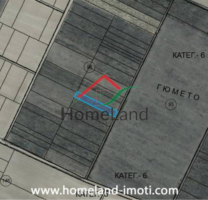 Photo 2 — Agricultural Land in Oblast Pazardjik, Sbor