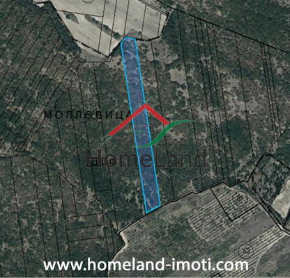 Photo 5 — Agricultural Land in Oblast Pazardjik, Sbor