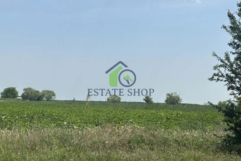 Agricultural Land in Oblast Plovdiv, Trud