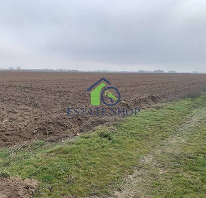 Photo 2 — Agricultural Land in Oblast Plovdiv, Trud