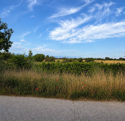 Photo 2 — Agricultural Land in Oblast Plovdiv, Stamboliiski