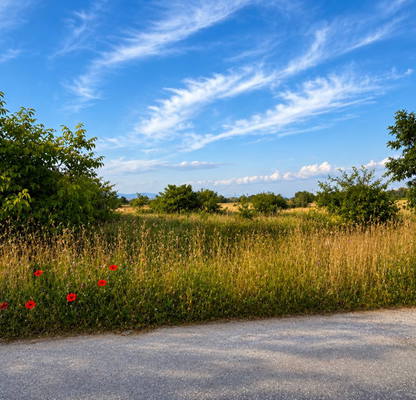 Photo 3 — Agricultural Land in Oblast Plovdiv, Stamboliiski