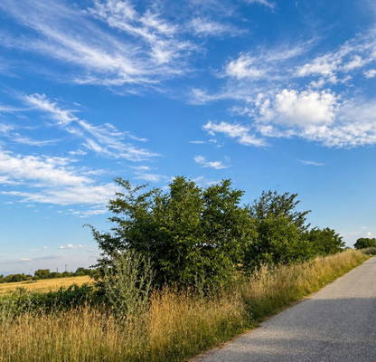Photo 4 — Agricultural Land in Oblast Plovdiv, Stamboliiski