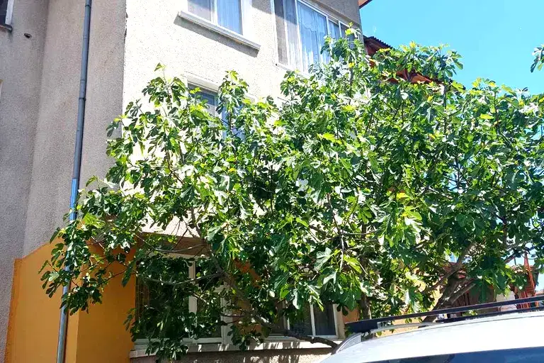Етаж от къща в Кърджали, Веселчане