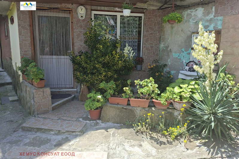 Floor of House in Oblast Lovech, Troyan
