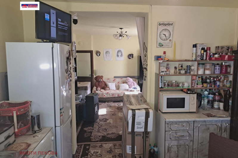 Floor of House in Vidin, Pliska